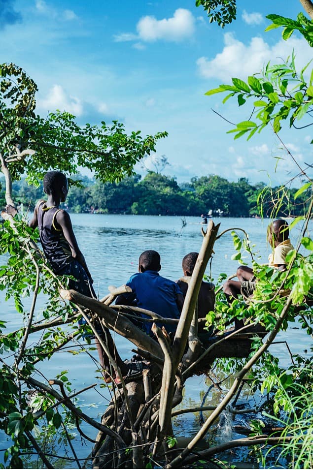 Children watching the river from overhanging branches